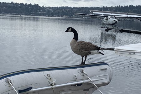Mastercraft.jpeg