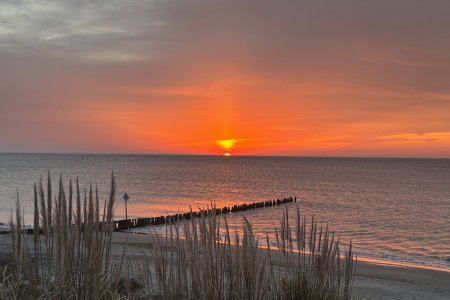 IMG_8365.jpeg