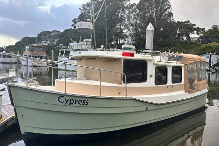 Cypress