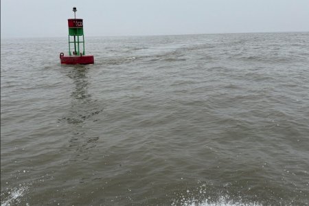 Media 'C&D4.jpg' in album 'Susie Q'