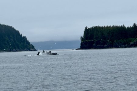 IMG_3209.jpeg