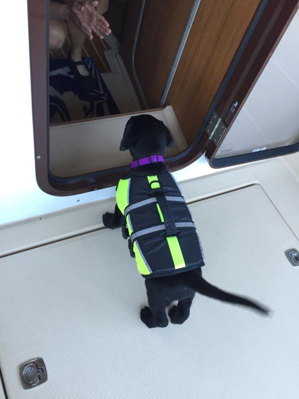 2 My new boat!