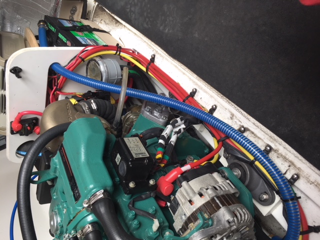 (2) Suction Hose