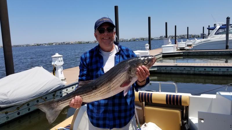 2021 striper 36 inches