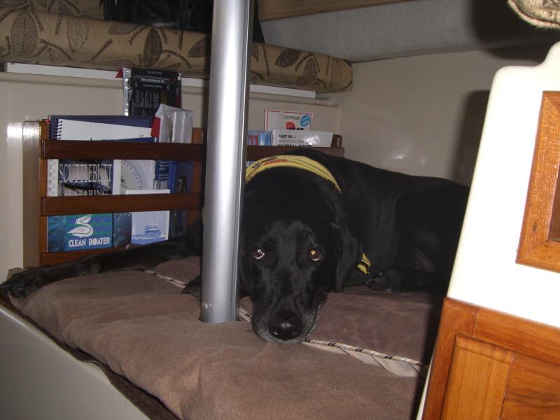 20A  Mascot berth
