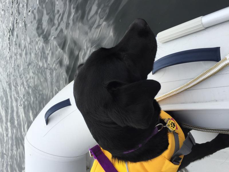 9.1 Heading to shore