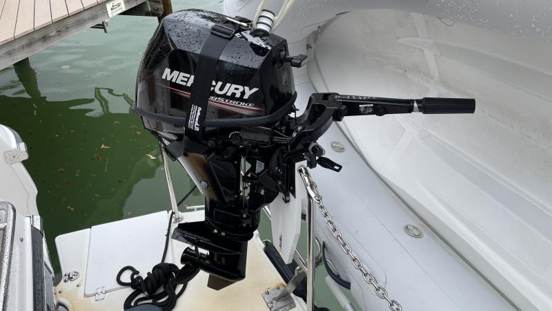 9.9 in rest position, attached to Simple System Marine mount
