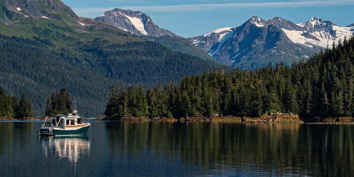 _DSC1123