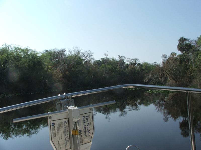 Alex Creek bow