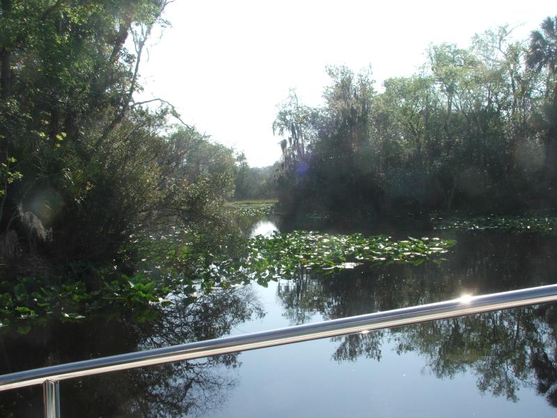 Alex Creek port