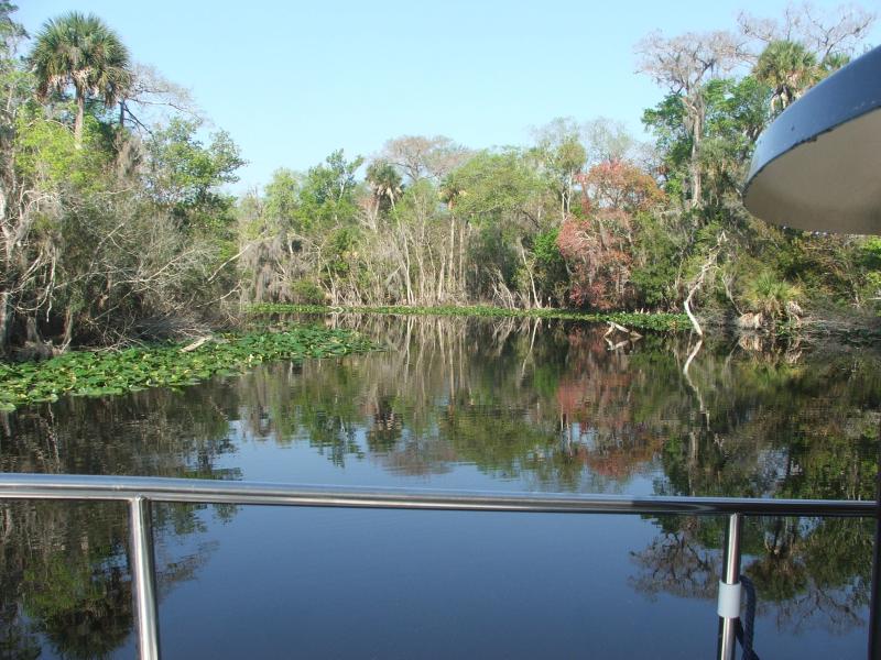 Alex Creek star