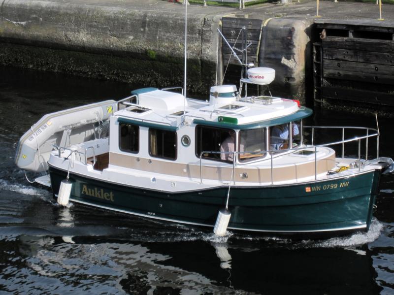 Auklet entering the locks