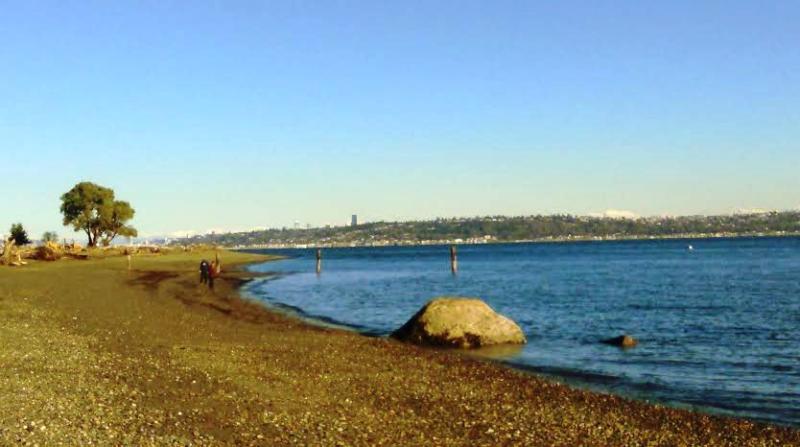 Beach with Seattle in background