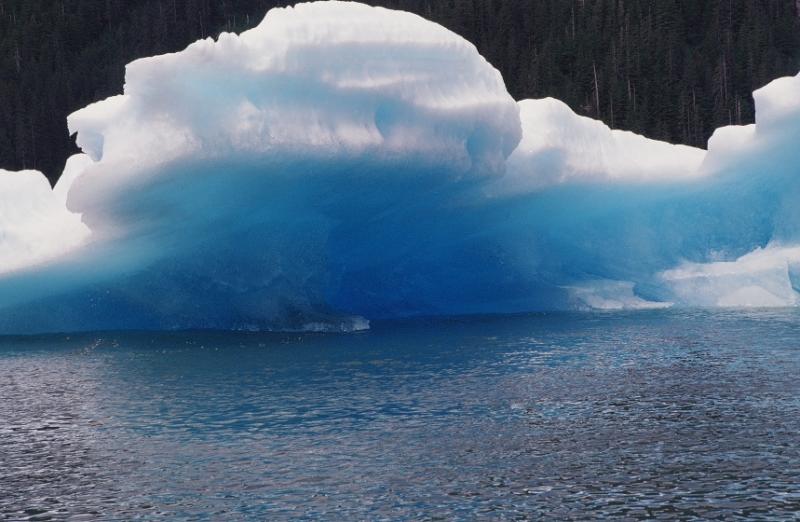 Blue Berg, Tracy Arm