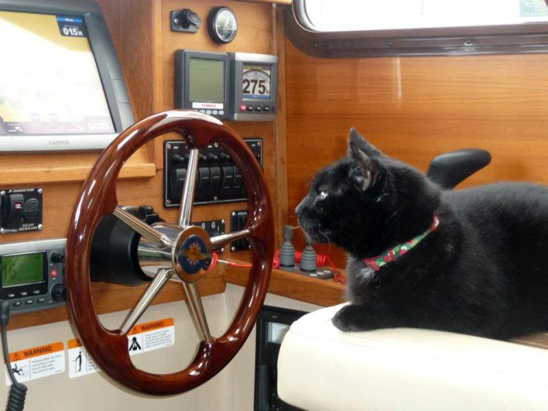Boris at the helm
