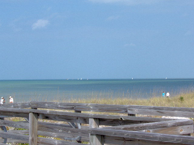 Caladesi Island State Park 008