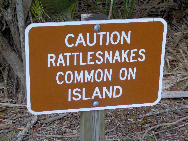 Caladesi Island State Park 012