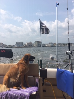 Capt. Ellie
