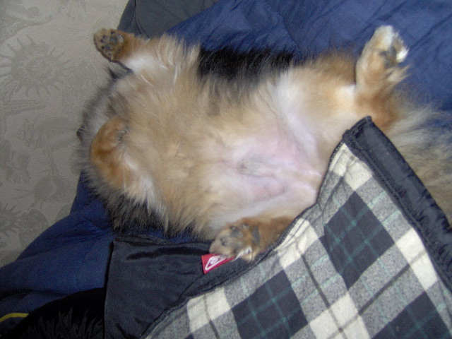 captd on January 2, 2008, 5:46 am