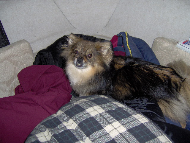 captd on January 2, 2008, 5:46 am