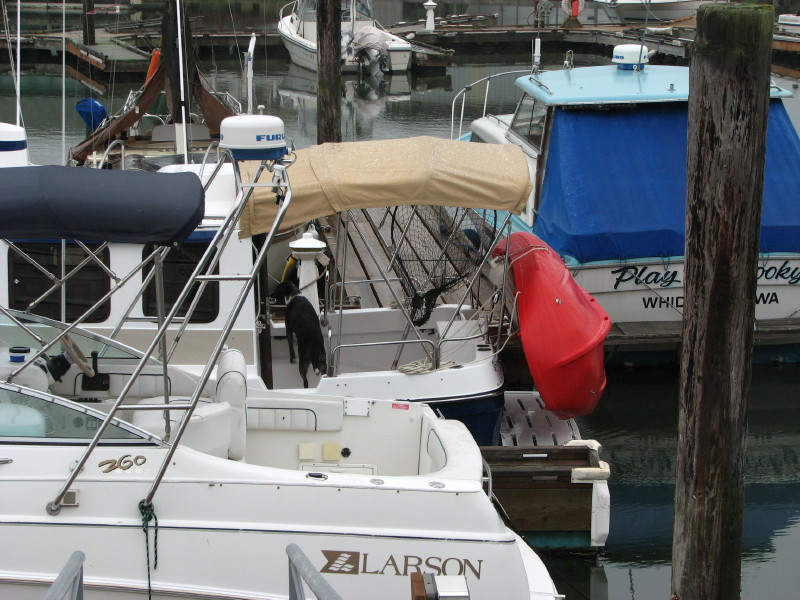 CaptMac on May 27, 2007, 11:14 am