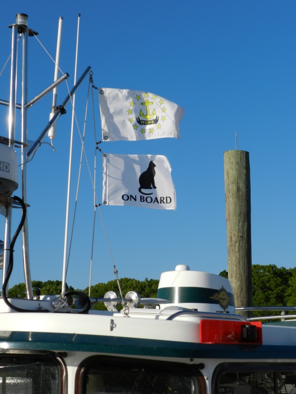 Cat on board flag