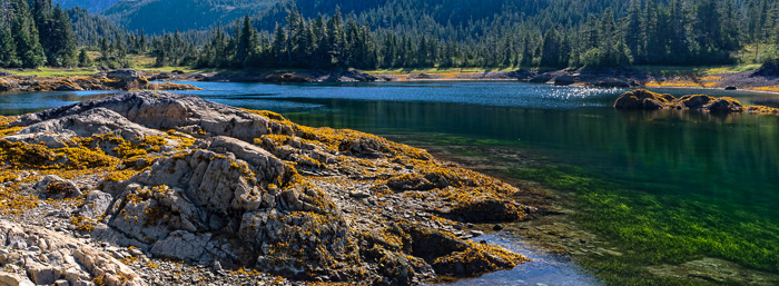 Cedar Bay