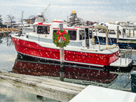 Chessie xmas 17