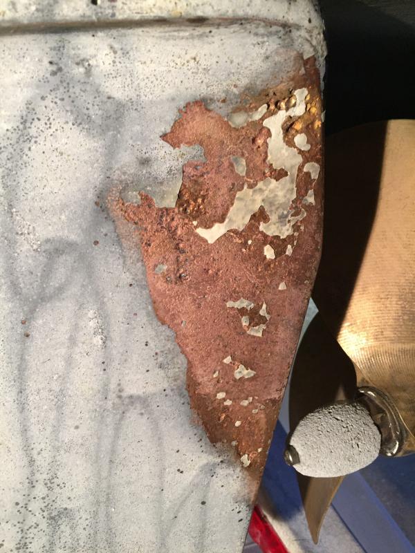 Clean rudder after 6 mos.