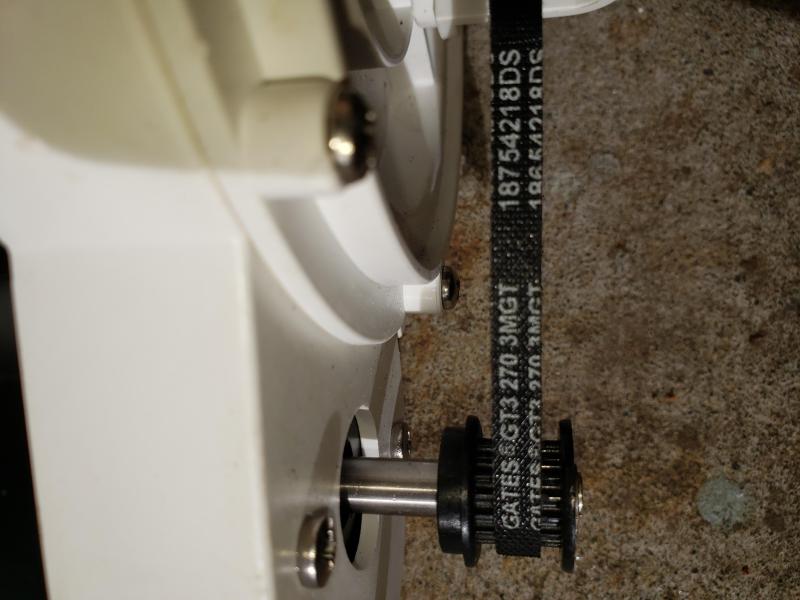 Cori Gates belt