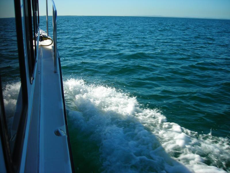 crowded seas