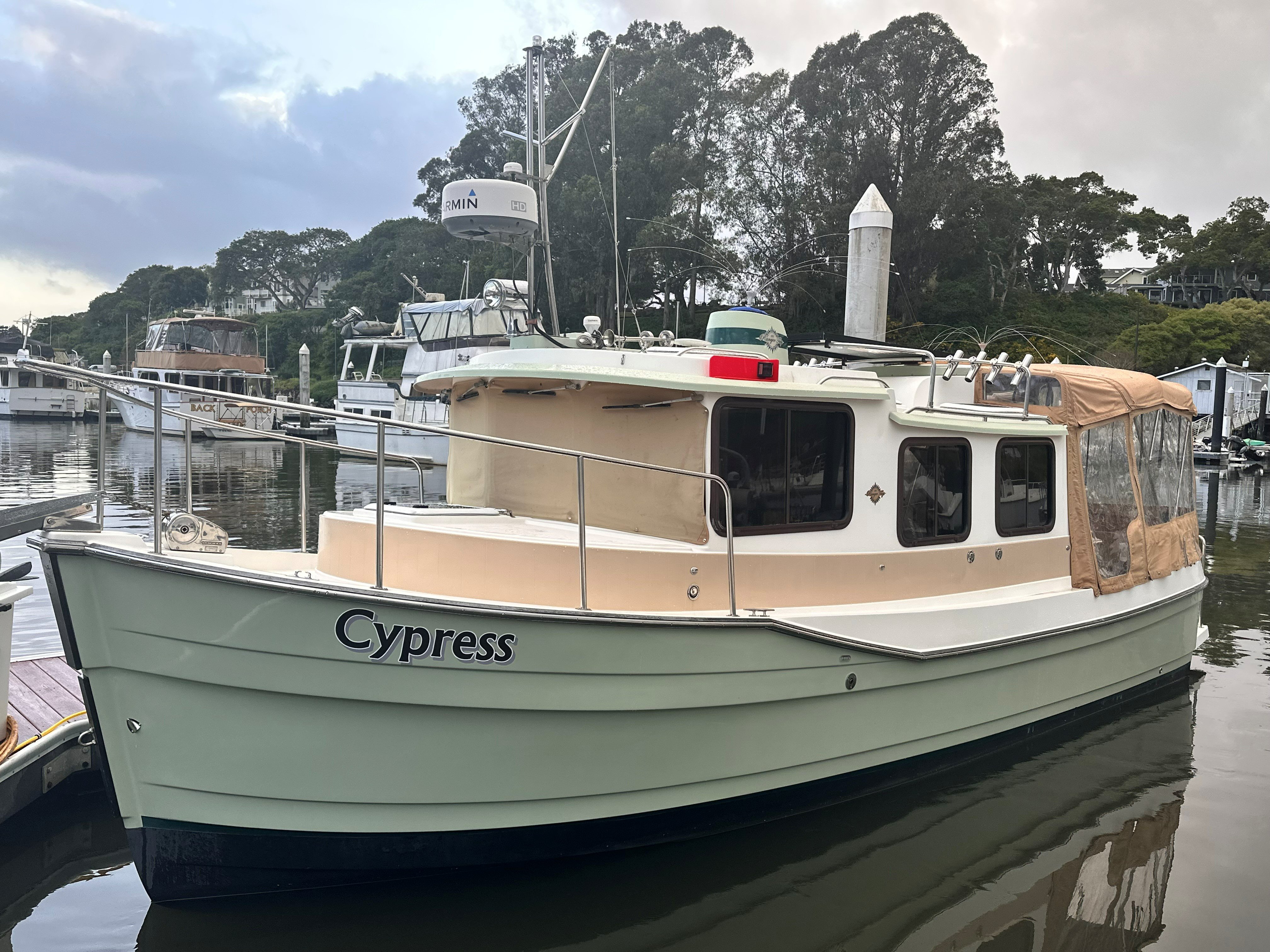 Cypress