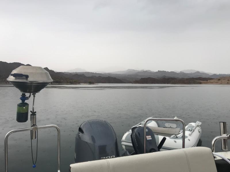 Desert Rain