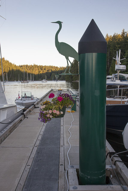 Desolation_Sound-1386