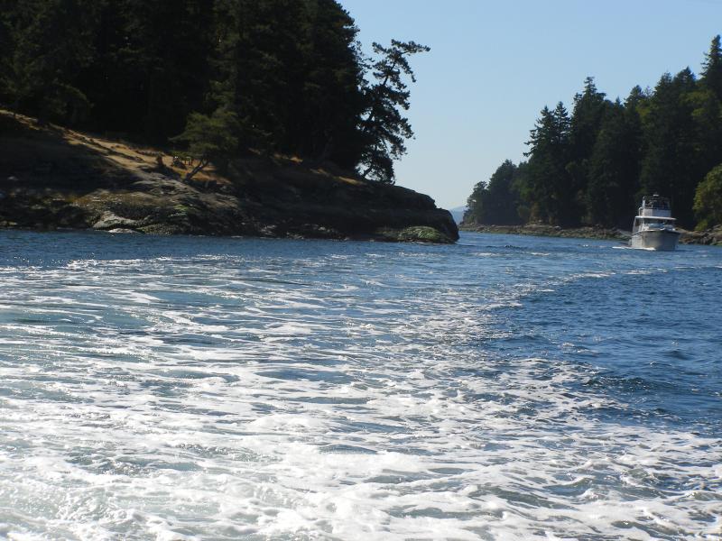 Dodd Narrows closeup