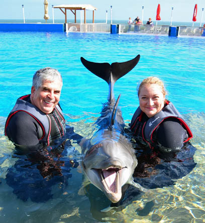 dolphin2sm