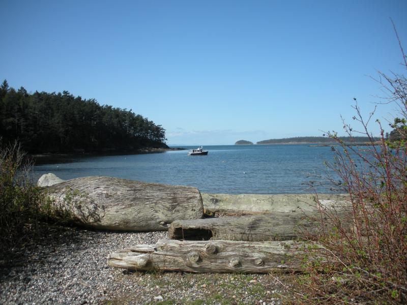DSCN0906