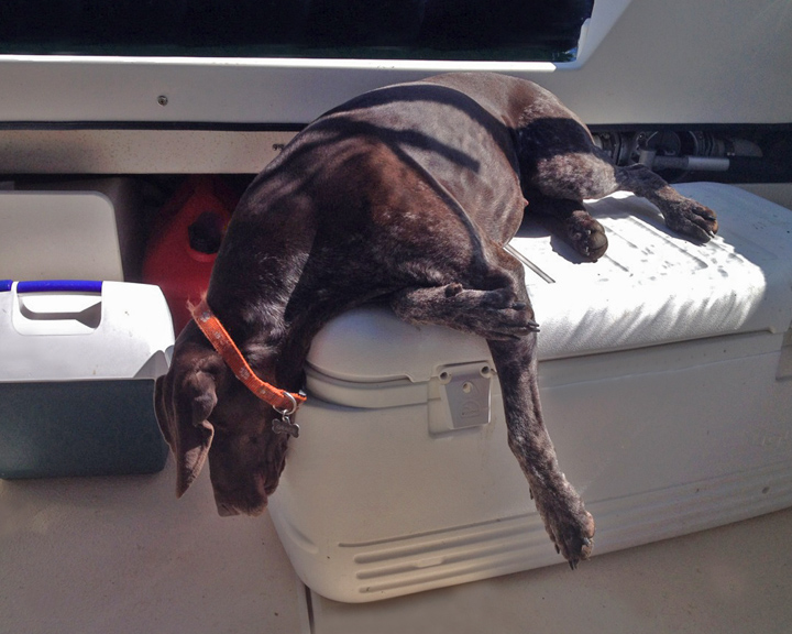 End of a Hard Day
