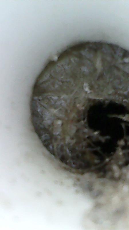 Endoscope view of partially blocked starboard weep hole drain. 1 foot in.