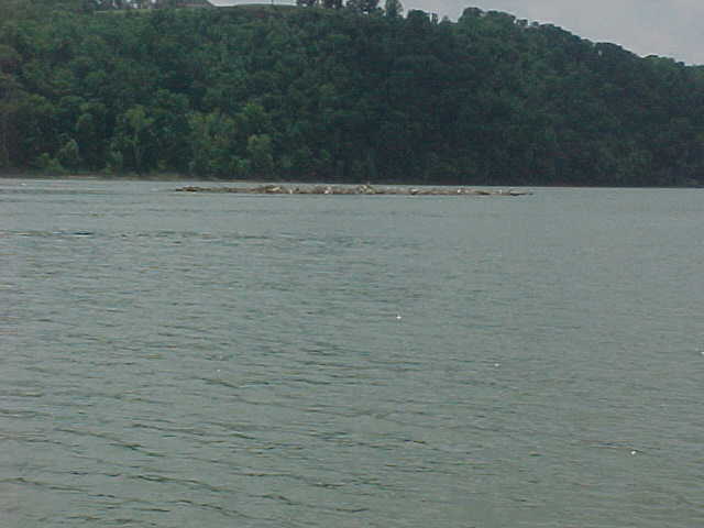 Floating log jam