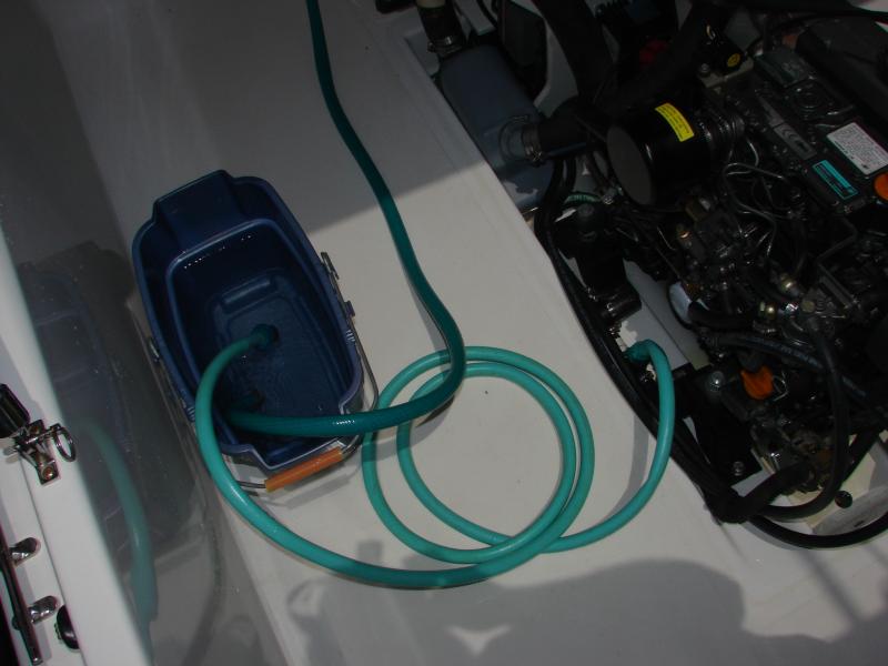 Fresh water flush