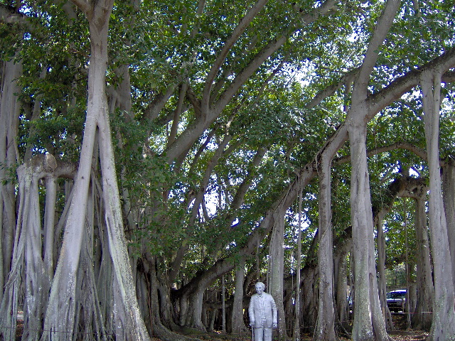ft meyers beach 004