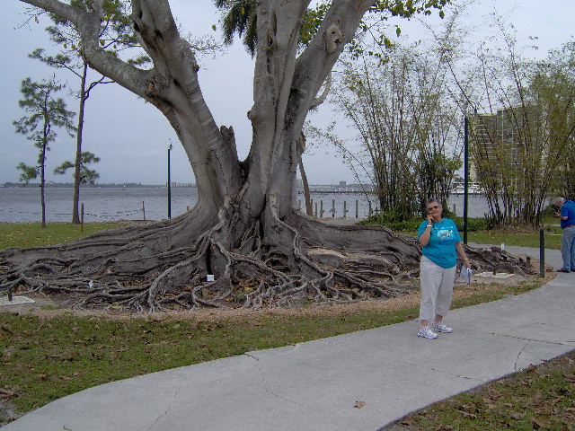 ft meyers beach 014