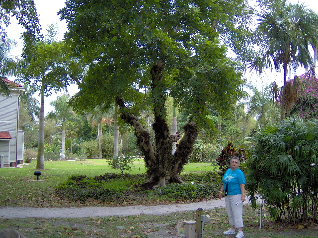 ft meyers beach 028