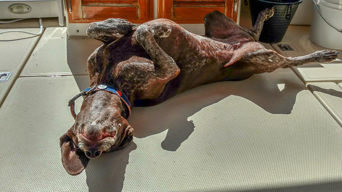 Grace Sunning
