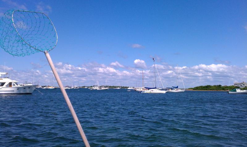 Hanging out in a bosun's chair