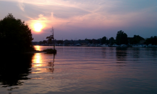 IMAG0029