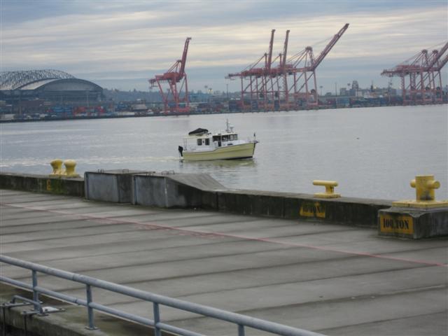 IMG_0010 (Small) (2)