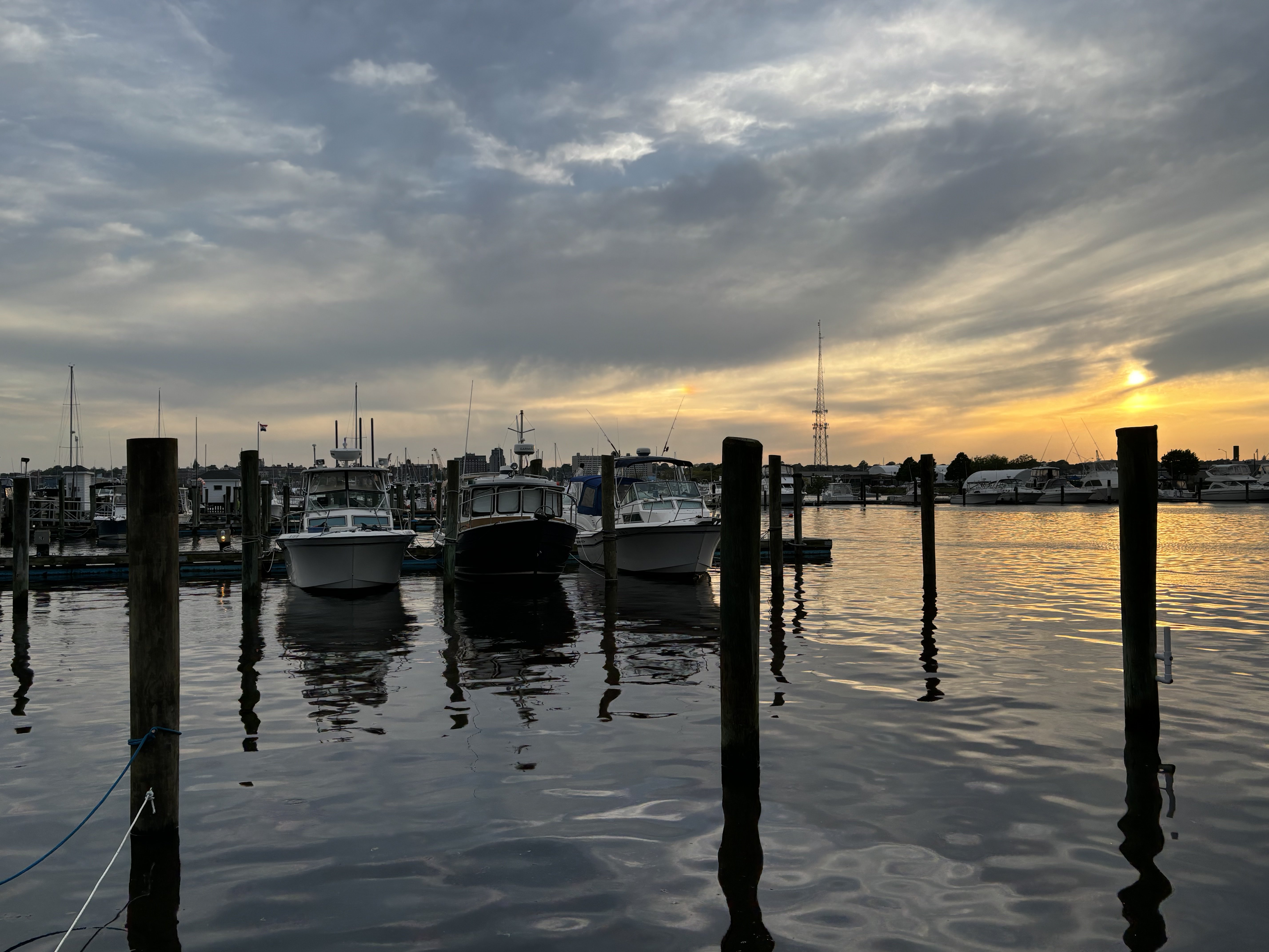 IMG_4336.jpeg
