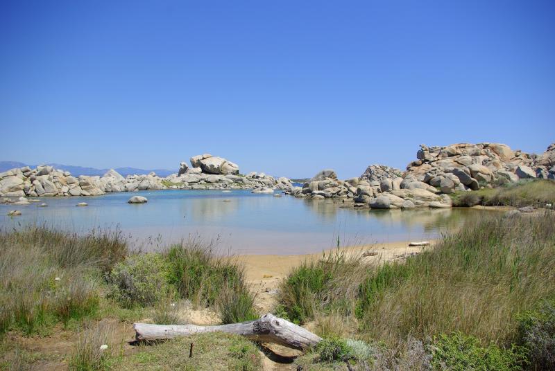 IMGP0364